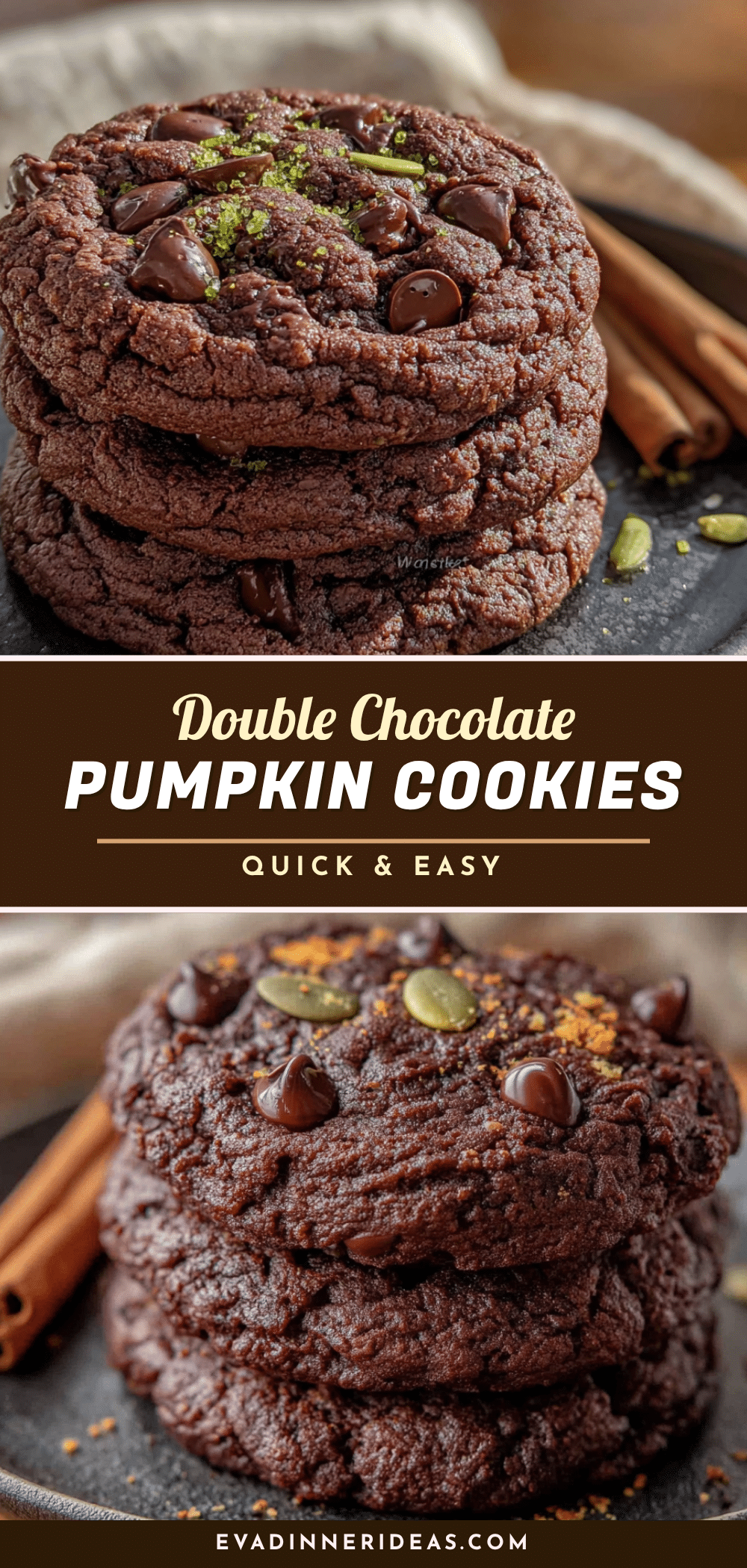 double chocolate pumpkin cookies recipe