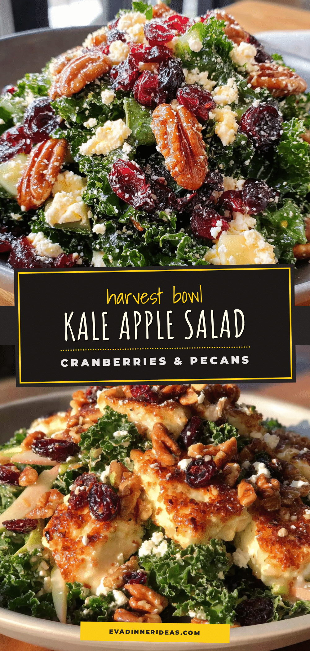 harvest kale apple salad with cranberries & pecans recipe
