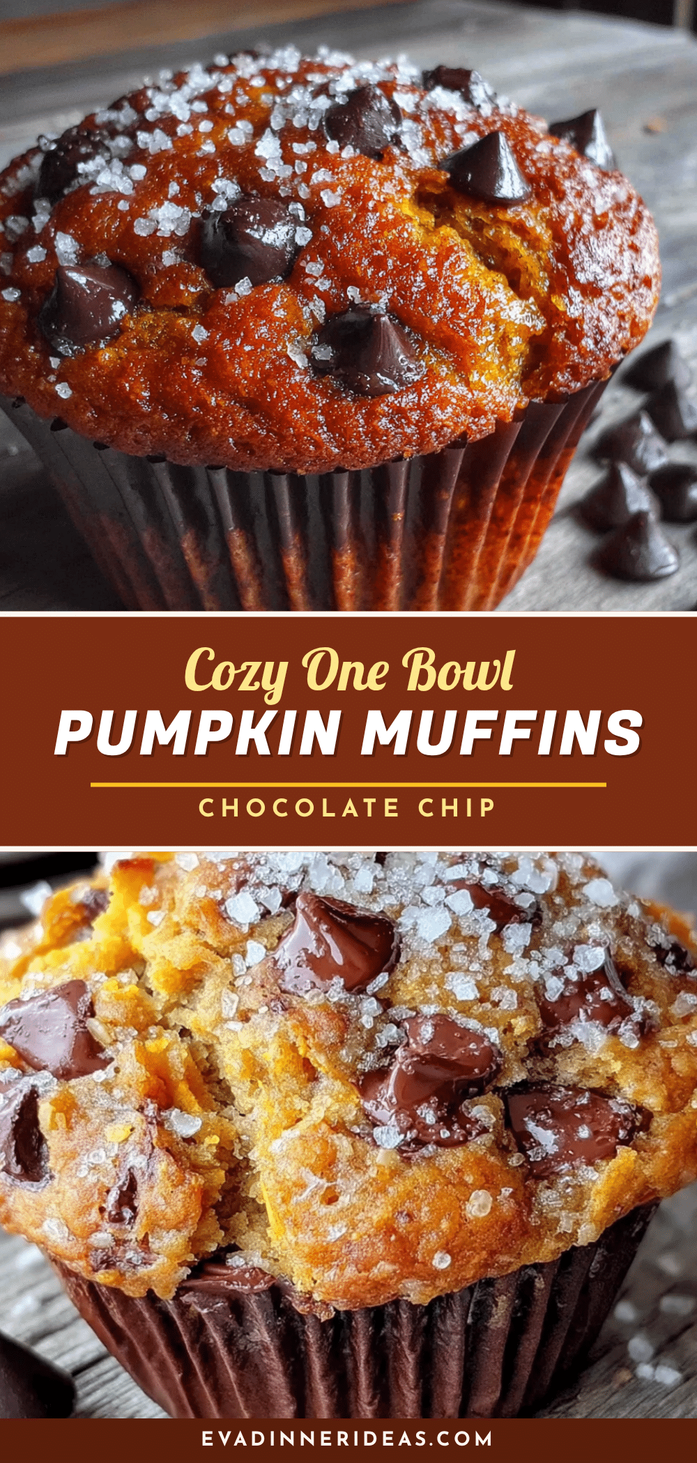 pumpkin chocolate chip muffins recipe