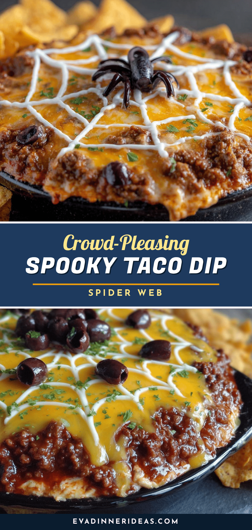 spider web taco dip recipe